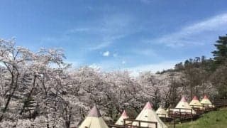 人気女子キャンパーが厳選！　カップルで行くのにおすすめな都内近郊キャンプ場５選