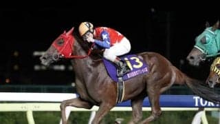 【川崎・関東オークス出走予定馬】二冠馬スピーディキック、ガンランナー産駒ドライゼら 