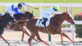 【関東オークス】JRA出走予定馬