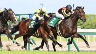 【鳴尾記念】1年5ヶ月ぶり長期休養明け ヴェルトライゼンデが復活V