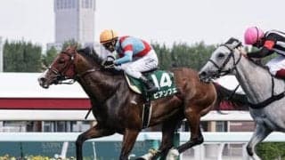 函館スプリントＳはコースと縁深い「超スピード馬」が逃げきるか。名スプリンターの産駒も連対の可能性大