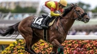 【エプソムC枠順確定】ジャスティンカフェは8枠11番、ダーリントンホールは5枠5番