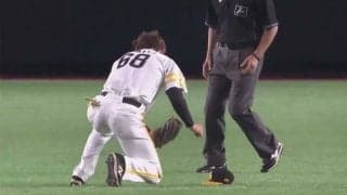 空中浮遊から一回転「これはえぐい」　打者ぬか喜びの“美キャッチ”が「熱すぎる」