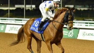 【ユニコーンS想定】セキフウはM.デムーロ騎手、リメイクは福永祐一騎手、コンバスチョンは田辺裕信騎手