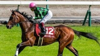 【今日の注目ポイント】函館開催がスタート、中京では北村友騎手と団野騎手が復帰