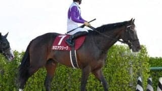 超高額配当も!?　エプソムＣは過去の激走３パターンに合致する伏兵３頭を狙うべし