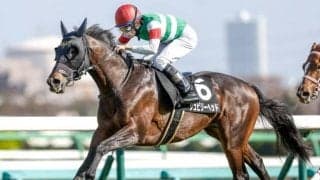 【函館スプリントS予想】洋芝替わりで大激走!? 本州とは異なる陽気「函館ならでは」の穴馬3頭