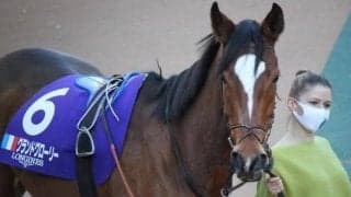 昨年ジャパンC5着のグランドグローリーが1000万円の追加登録料を支払いプリンスオブウェールズS参戦　シャフリヤールと再戦へ