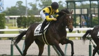 【中京5R新馬戦結果】ステイフーリッシュの妹マラキナイアが人気に応える