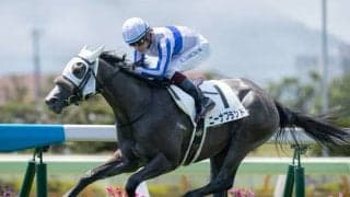 【函館5R新馬戦結果】ニーナブランドが逃げ切り勝ち