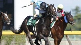 【JRA】ローズプリンスダムが地方移籍 左前浅屈腱炎判明で9か月以上の休養要する