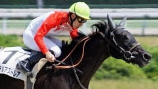 【次走】アーテルアストレアはレパードSへ　伯父はJBCクラシック3着馬センチュリオン