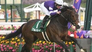 【函館スプリントS予想】人気馬を一刀両断！ 傾向顕著な開幕週で実績上位も…