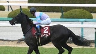 【函館スプリントS前日オッズ】ナムラクレアが2.6倍で1番人気