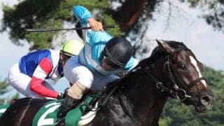 ローズプリンスダムが競走馬登録抹消