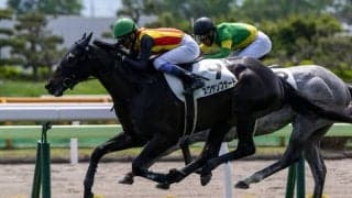 【函館7R】武豊 スワヤンブナートが人気に応える