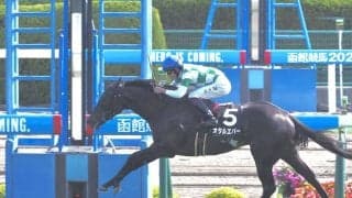 【函館日刊スポーツ杯】3歳オタルエバーが完勝