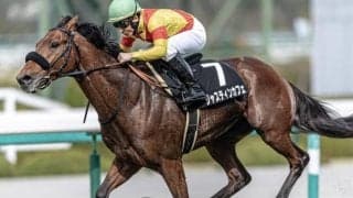 【今日の注目ポイント】東京でエプソムC、函館では函館スプリントS