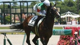 【中京5R新馬戦結果】プロトポロスが人気に応え3馬身半差完勝