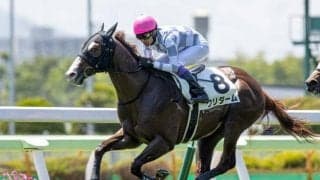 【函館5R新馬戦結果】クリダームが押し切りインゼルレーシング初陣V