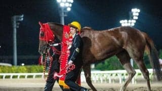 【川崎・関東オークス枠順確定】スピーディキックは1枠1番、ドライゼは7枠11番