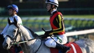 バレリオが右第1指関節脱臼のため予後不良に　ステイヤーズSなど中長距離重賞に出走