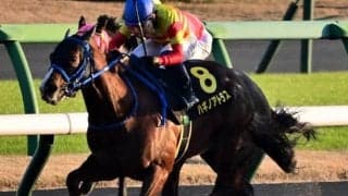 【中京11R】ゲート内で転倒のハギノアトラスは外傷性鼻出血並びに両後肢挫創のため競走除外に