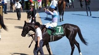 【函館スプリントS】浜中「手応え通り」ナムラクレアが完勝