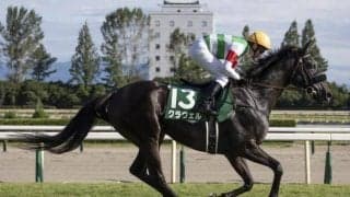 【マーメイドS見どころ】クラヴェルが待望の重賞制覇を狙う