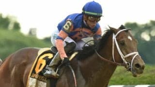 【米・ベルモントS】モードニゴールが3馬身差で米国クラシック三冠最終戦を快勝/海外競馬レース結果