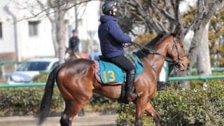 ビターグラッセが福永祐一騎手でデビュー 近親に活躍馬多数/関東馬メイクデビュー情報