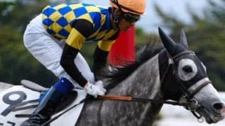 【先週のJRA抹消馬】芦毛馬ゴースト、良血馬フランツ、竹之下騎手ダービー初出走のヴィントなど