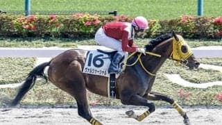 【AI予想・ユニコーンS】経験No.1「あの人気薄」が混戦を断つ!? 実力伯仲の3歳ダート路線は今年も荒れ模様