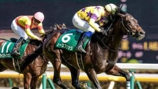 折り合い面に進境を見せれば侮れない存在に…