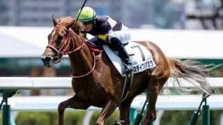 【マーメイドS展望】牝馬のハンデ重賞、格上挑戦組の台頭も多い