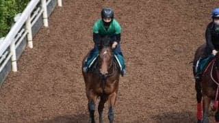 イストロスなど、先週のゲート試験/栗東トレセンニュース