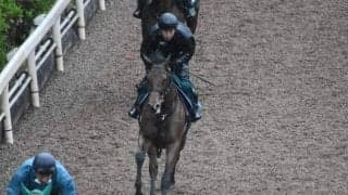 オープンファイアなど、先週の入厩情報/栗東トレセンニュース