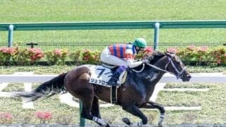 【ユニコーンS予想オッズ】ジュタロウが予想1番人気