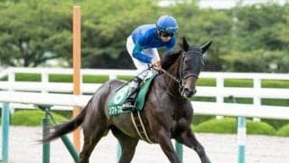 【マーメイドS予想オッズ】ソフトフルートが予想1番人気