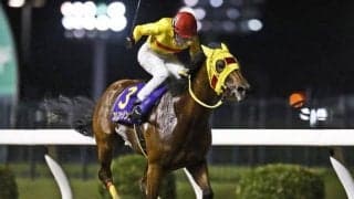 【川崎スパーキングスプリント結果】コパノフィーリングが休み明けを逃げ切り重賞3勝目