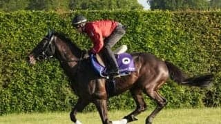 シャフリヤールはエリザベス女王の前で偉業達成なるか。馬券が買えるプリンスオブウェールズＳの狙い目は？