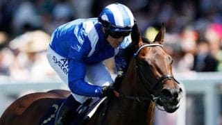 現役世界最強馬、ムチなし楽勝で8戦8勝＆G1を4連勝　海外衝撃「フランケル以来最強だ」