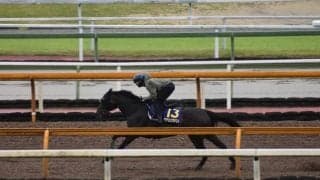 デアリングタクト、宝塚記念1週前追い切り速報/栗東トレセンニュース