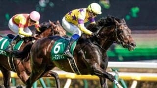 【ユニコーンS予想】今回AIが指名した注目馬は○○な存在…？