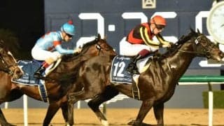 【プリンスオブウェールズSオッズ】日本では5連勝中ベイブリッジが1番人気、僅差の2番人気にシャフリヤール