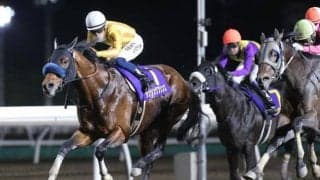 北海道スプリントカップの様子