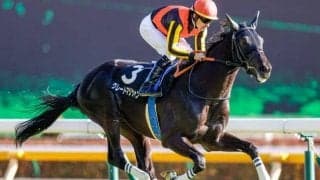 【次走】グレートマジシャンが関越Sで復帰 昨年の日本ダービー以来となる約1年ぶりの実戦