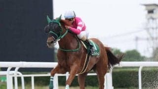 【笠松・飛山濃水杯結果】兵庫のゼットパールが人気に応えて快勝