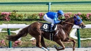 【次走】レモンポップは一戦挟んで武蔵野Sへ デビューから7戦連続連対中