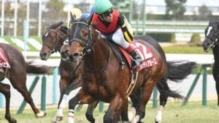 【英G1・プラチナジュビリーS】グレナディアガーズは27頭立ての4番枠